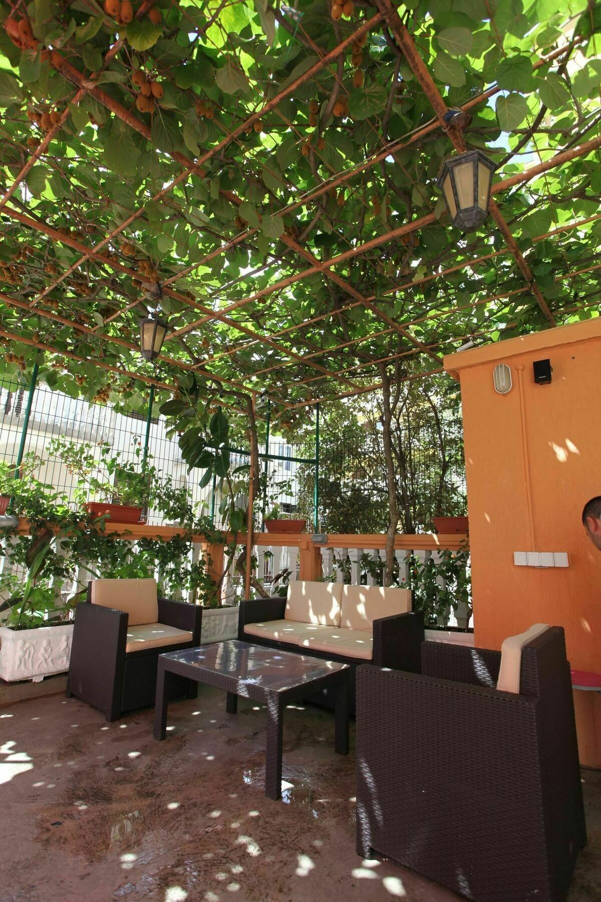Apartments Memidz Μπούντβα Εξωτερικό φωτογραφία